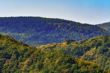 gemenc_mk_0014_1.jpg