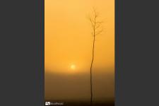 nap_fel_minimal-2_kicsi_2.jpg