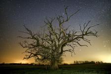 stars_0001.jpg