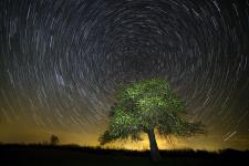 stars_0003.jpg