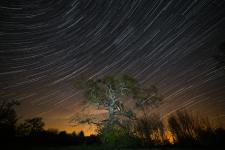 stars_0004.jpg